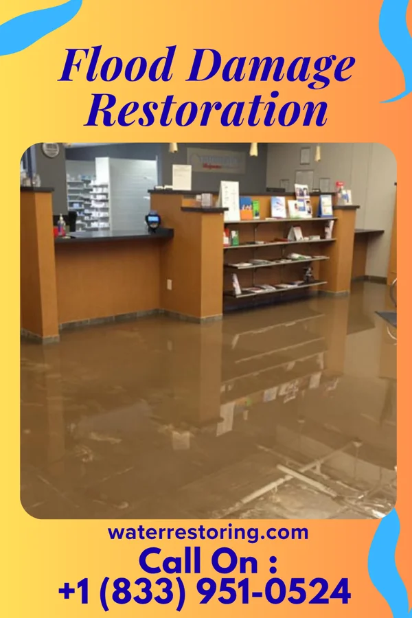 Flood Damage Restoration in Bergholz, OH