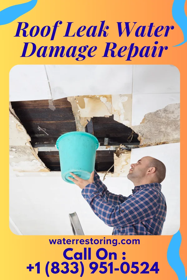 Roof Leak Water Damage Repair in Bergholz, OH
