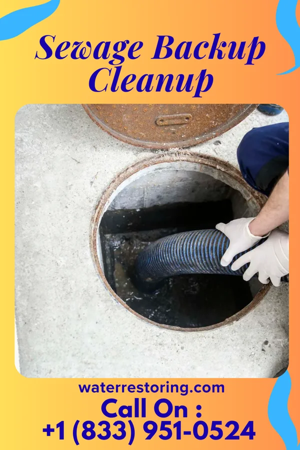 Sewage Backup Cleanup in Bergholz, OH