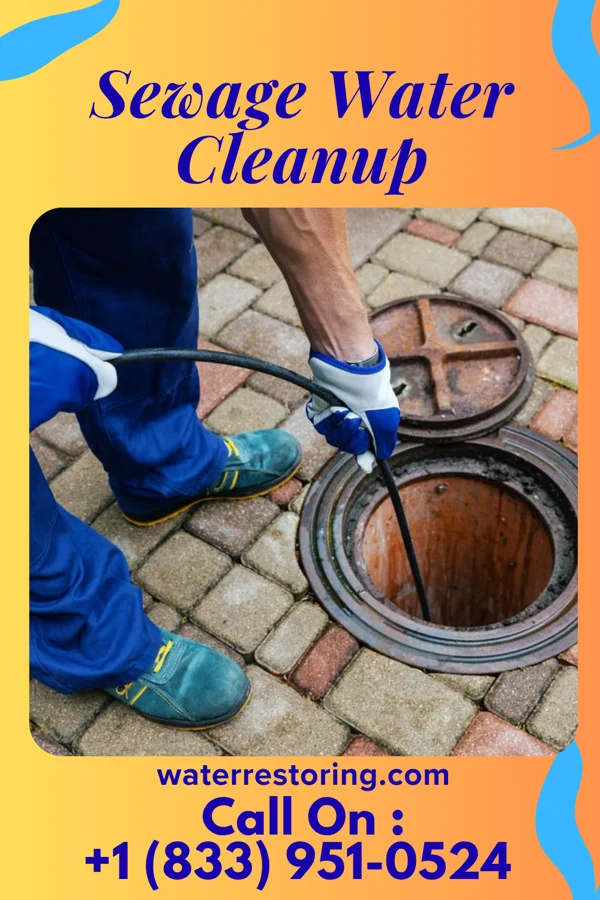 Sewage Water Cleanup in Bergholz, OH